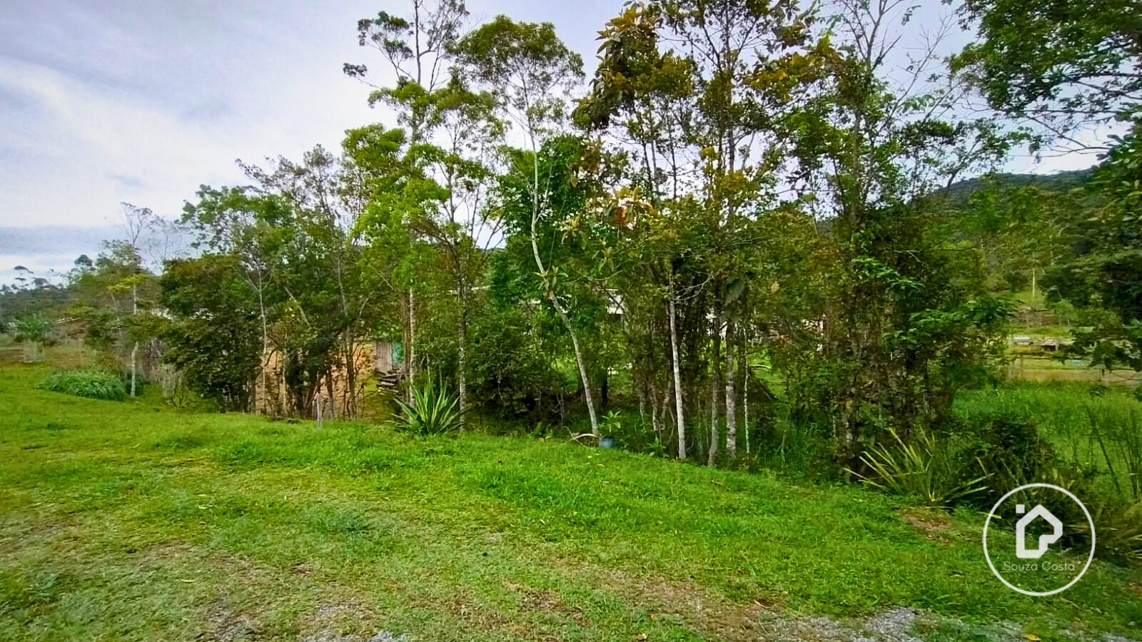 TERRENO DERVILE - Foto 3